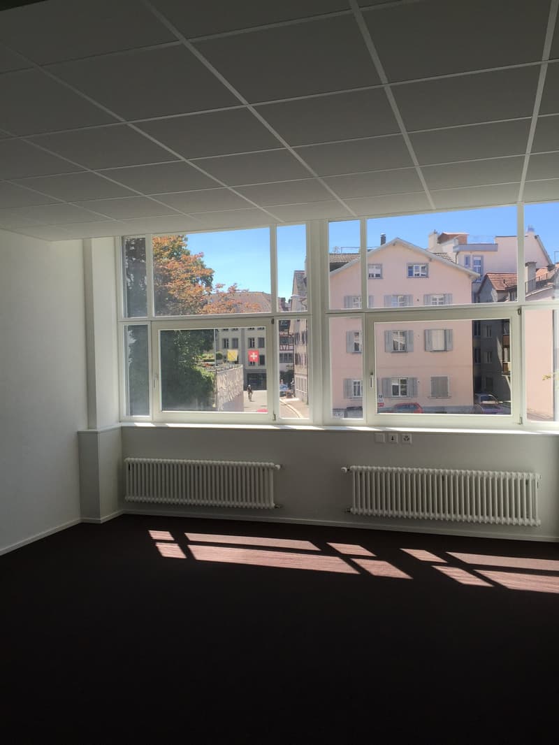 Moderne Geschäftsräume in zentraler Lage von Arbon (1)