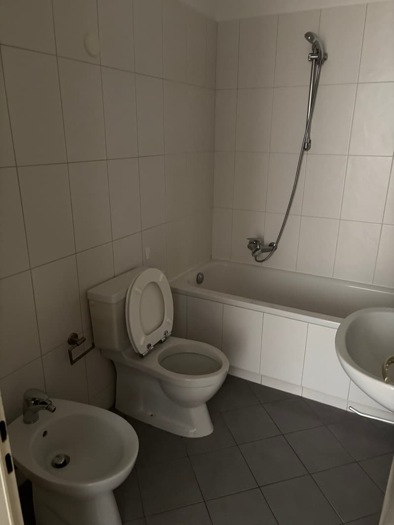 Affittiamo bellissimo appartamento di 3.5 locali a Bellinzona (5)