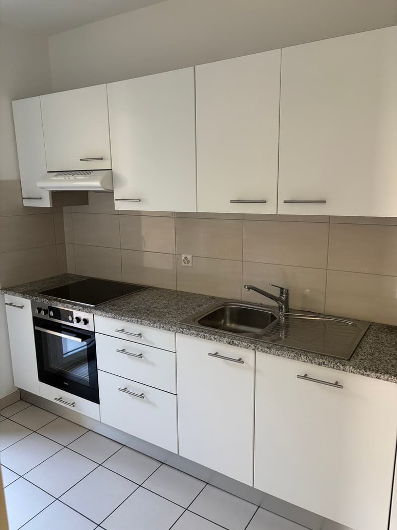 Affittiamo bellissimo appartamento di 3.5 locali a Bellinzona (6)