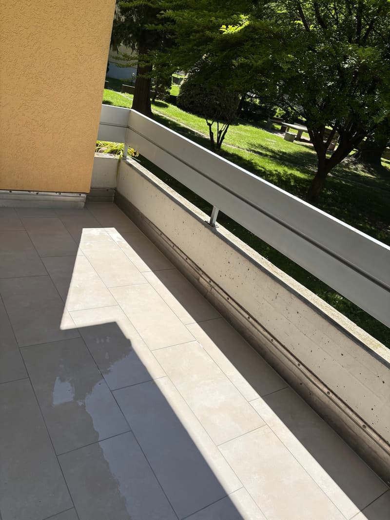 Affittiamo bellissimo appartamento di 3.5 locali a Bellinzona (2)