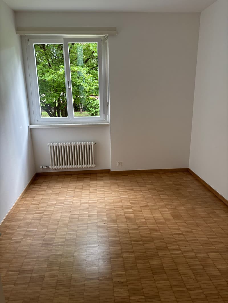 Affittiamo bellissimo appartamento di 3.5 locali a Bellinzona (3)
