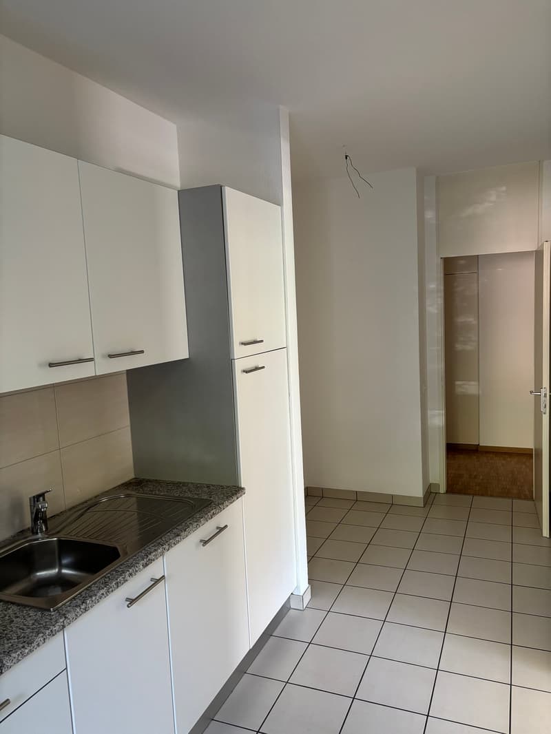 Affittiamo bellissimo appartamento di 3.5 locali a Bellinzona (7)