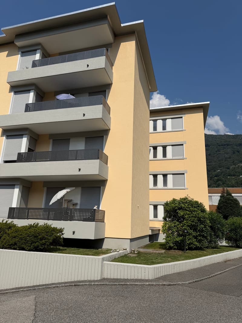 Affittiamo appartamento completamente ristrutturato di 4.5 locali a Bellinzona (1)