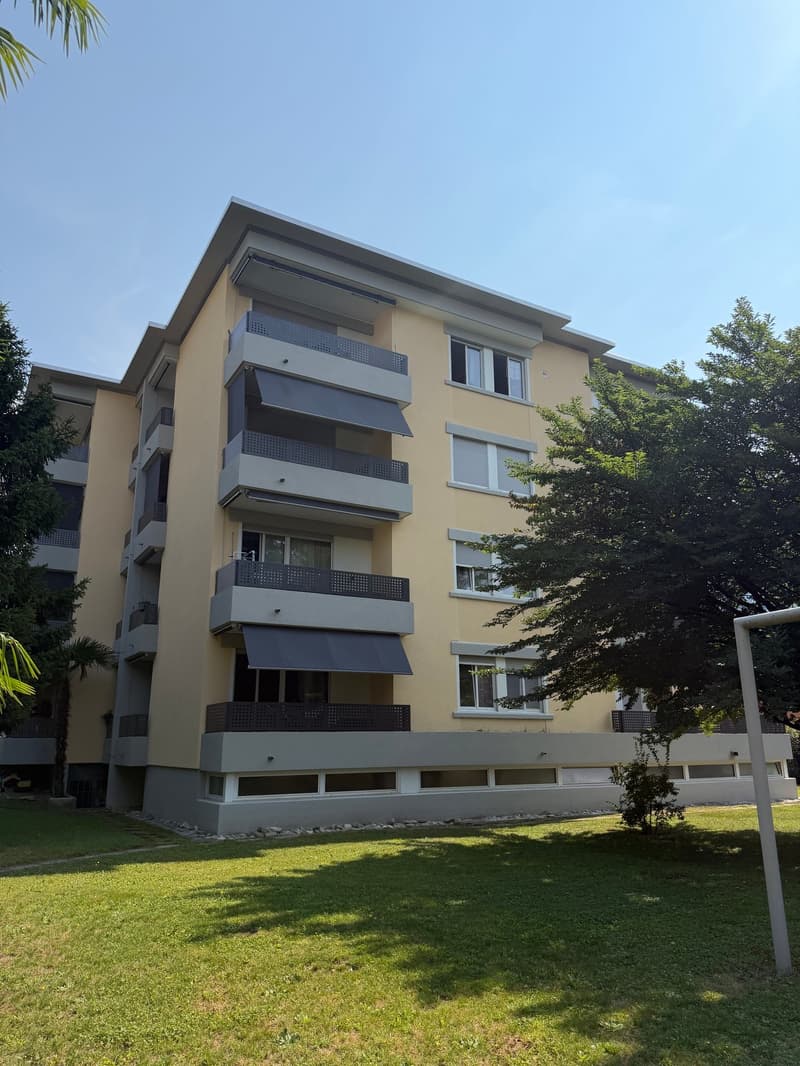 Affittiamo appartamento completamente ristrutturato di 4.5 locali a Bellinzona (3)