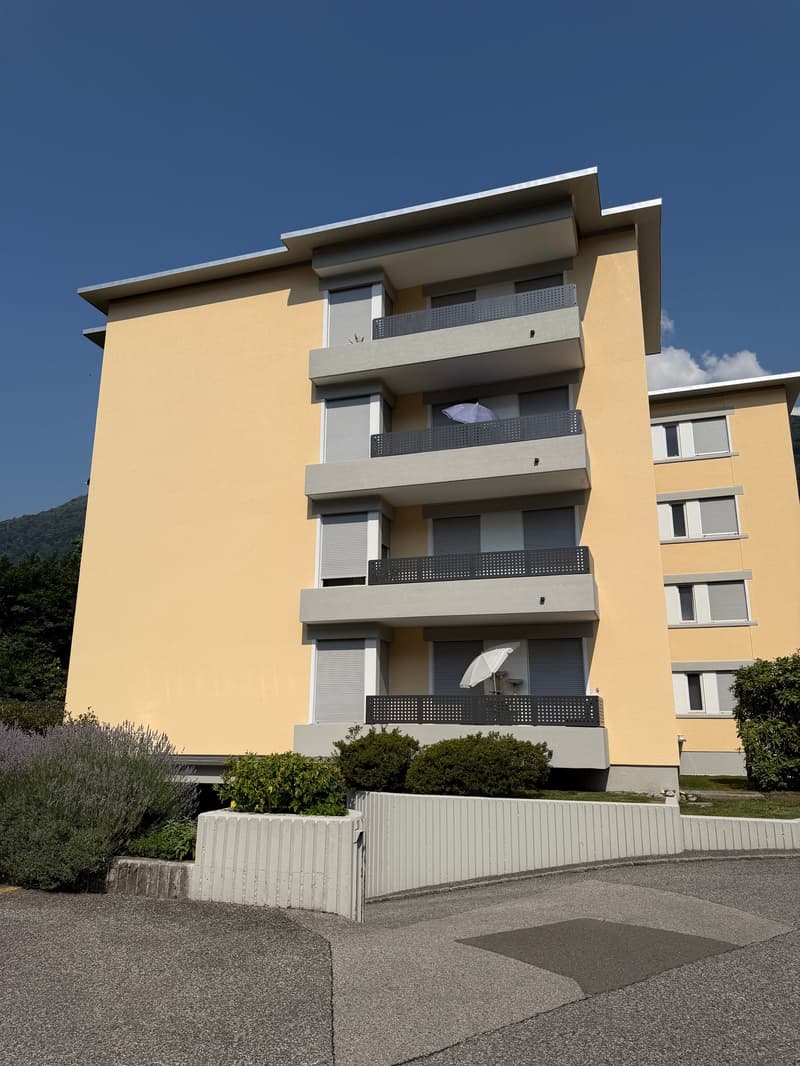 Affittiamo appartamento completamente ristrutturato di 4.5 locali a Bellinzona (2)