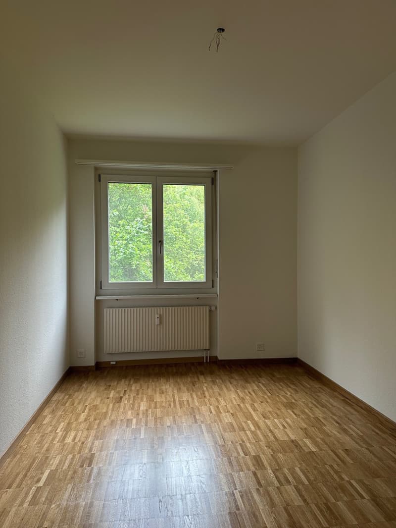Zimmer_1.jpg