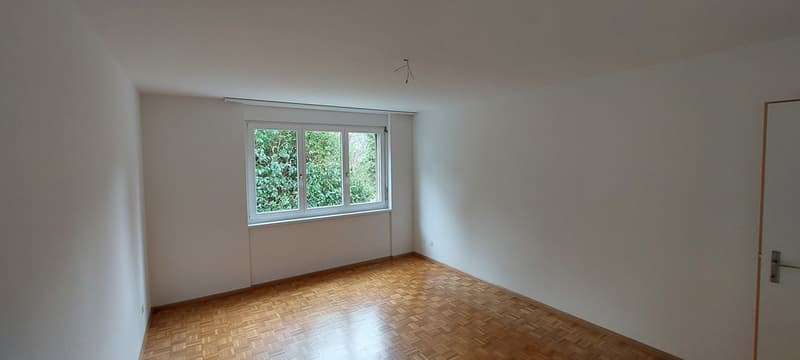 Zimmer_2.jpg