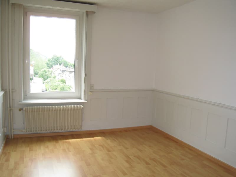 zentral gelegene Jugendstilwohnung (3)