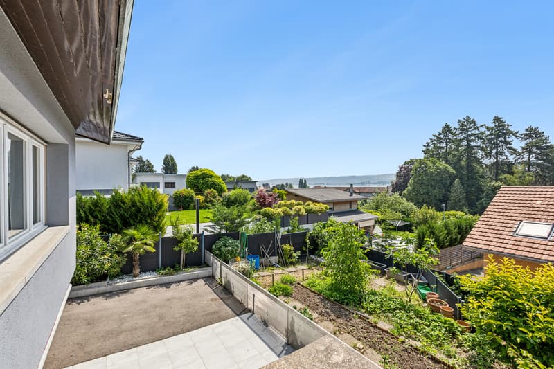 Jardin potager