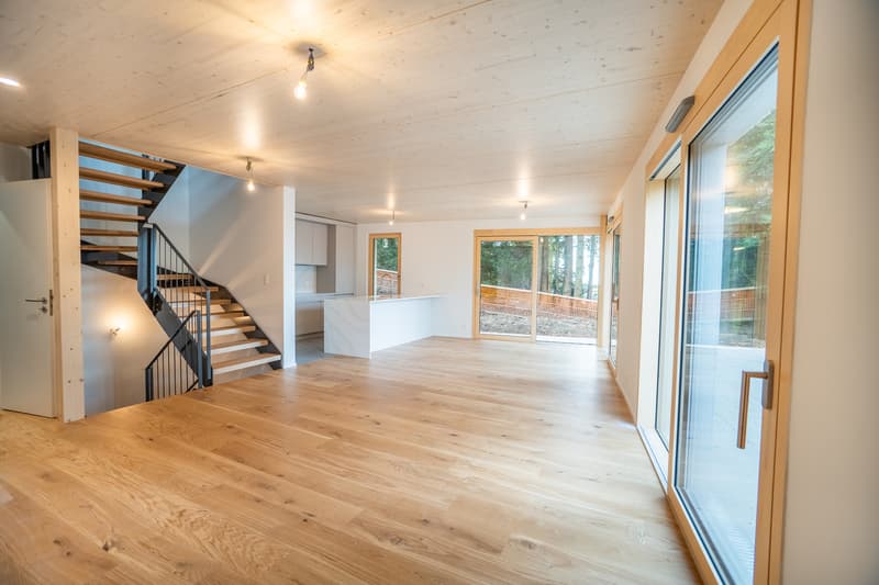 Chailly : villas neuves haut de gamme, disponibles immédiatement (1)