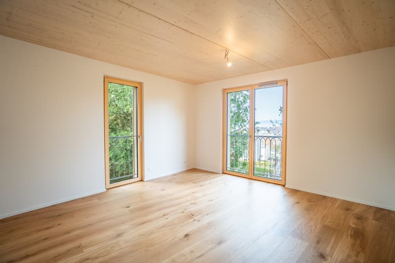 Chailly : villas neuves haut de gamme, disponibles immédiatement (4)