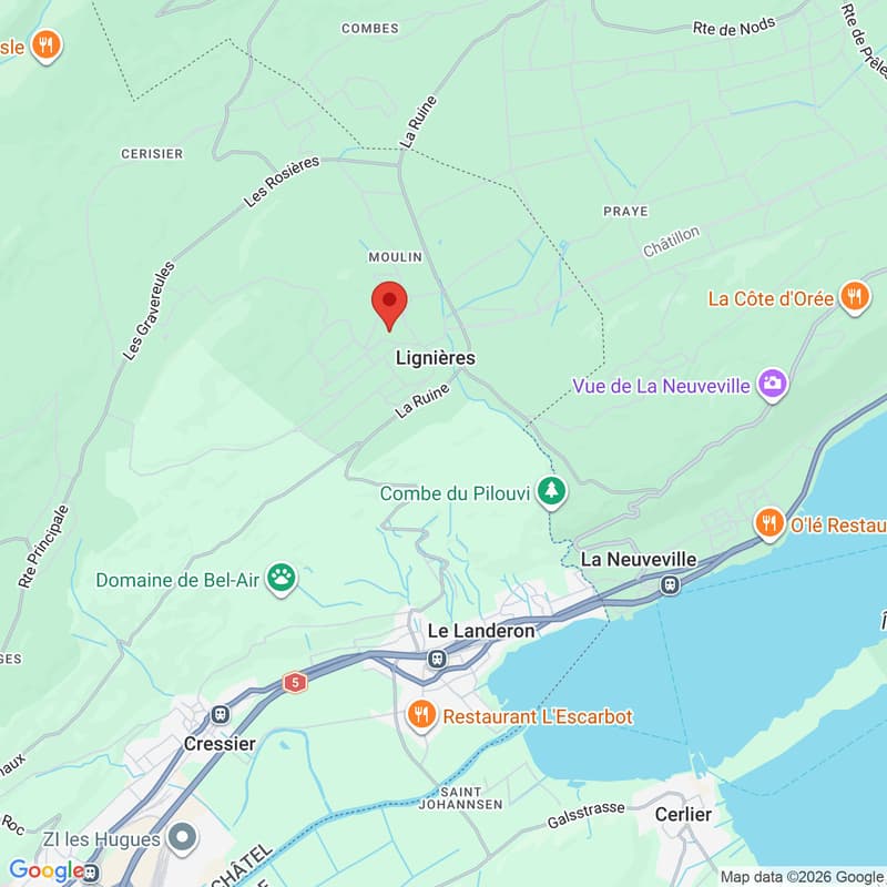 Une maison pensée pour la famille - grand terrain de 860 m2 (7)
