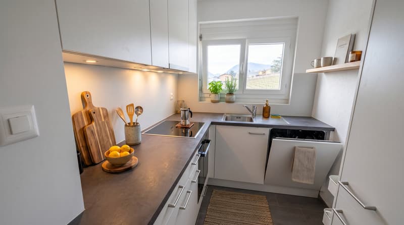 Appartement 3.5 pièces rénové, vue lac, quartier très calme (7)
