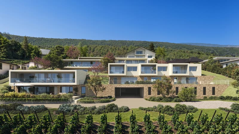 Dernière Villa Mitoyenne 4,5 pièces V5 - un panorama unique (1)