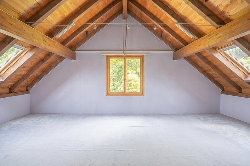 Maison familiale spacieuse - un bien à fort potentiel à rénover (4)
