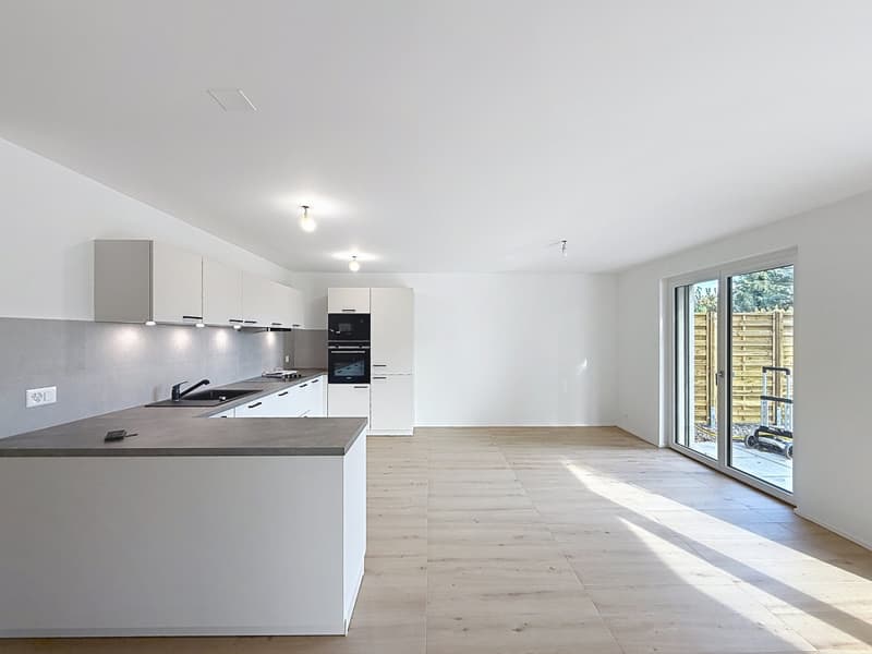 Maison mitoyenne neuve avec terrasse et jardin (3)