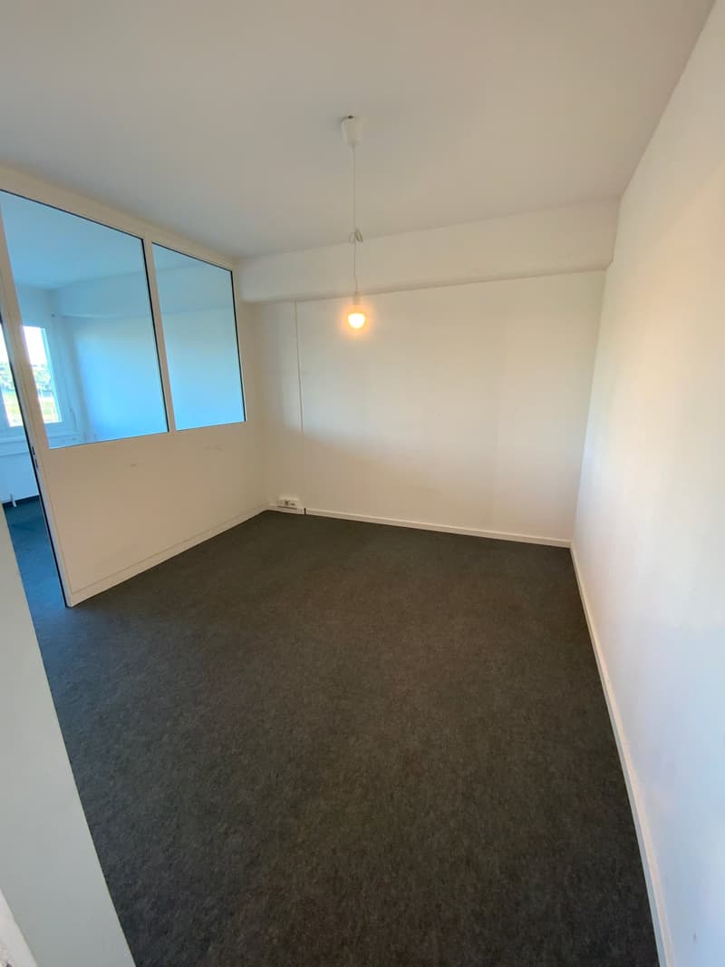 Empty room with grey carpet, white walls, ceiling lights, glass doors, and windows.