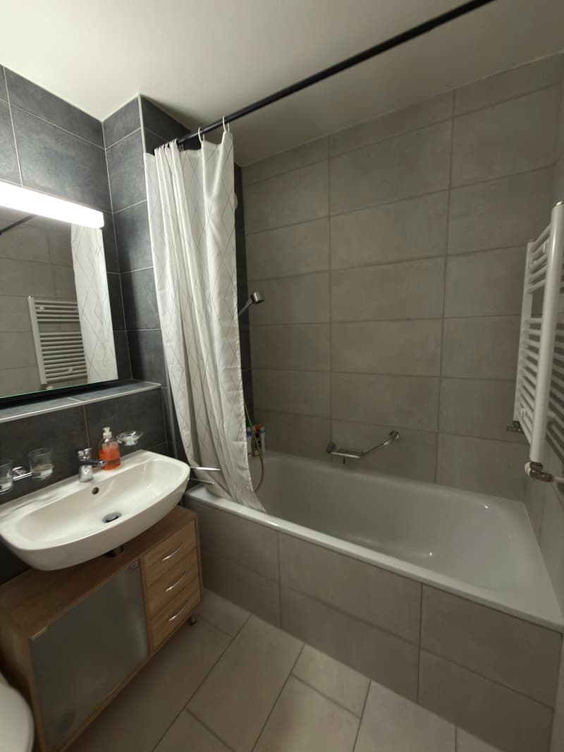 Appartement 2 pièces lumineux à Lausanne – Avenue de Morges (3)