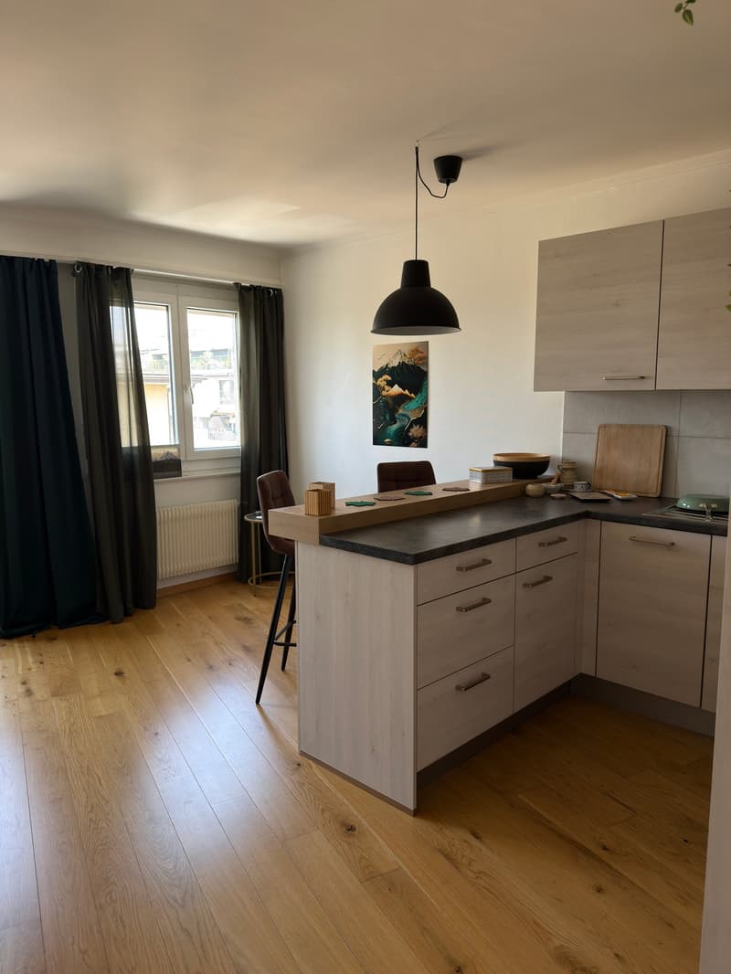 Appartement 2 pièces lumineux à Lausanne – Avenue de Morges (8)