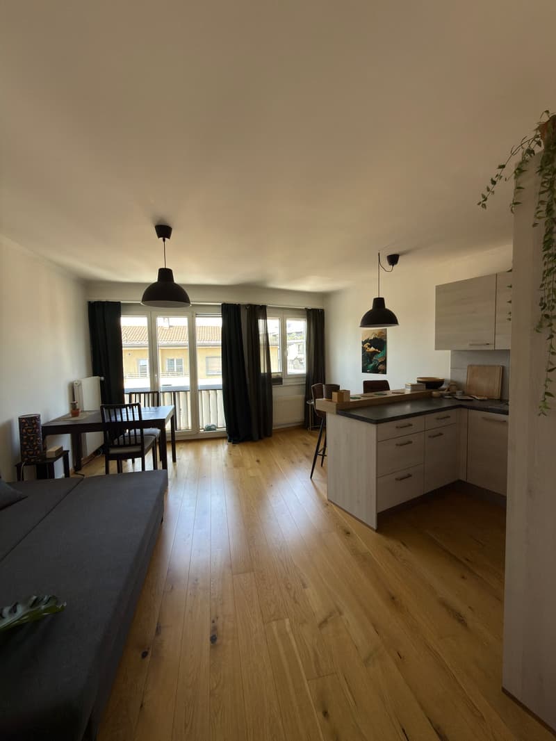 Appartement 2 pièces lumineux à Lausanne – Avenue de Morges (1)