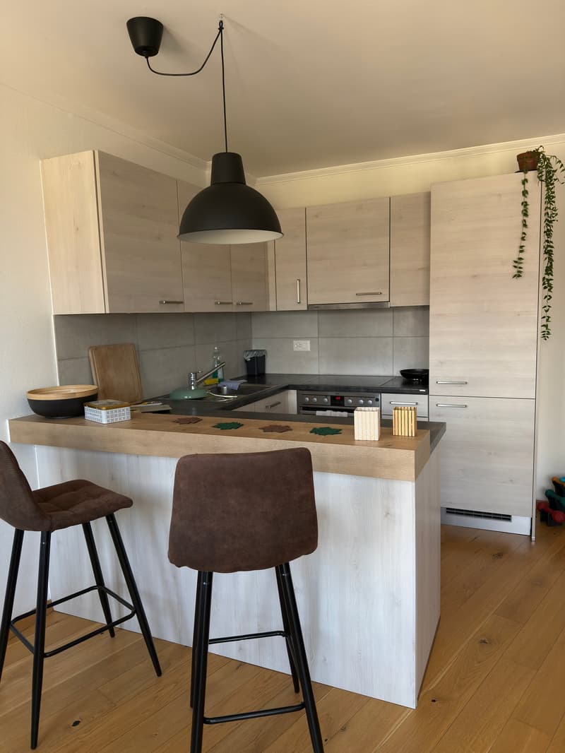 Appartement 2 pièces lumineux à Lausanne – Avenue de Morges (6)