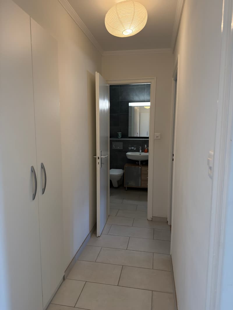 Appartement 2 pièces lumineux à Lausanne – Avenue de Morges (4)