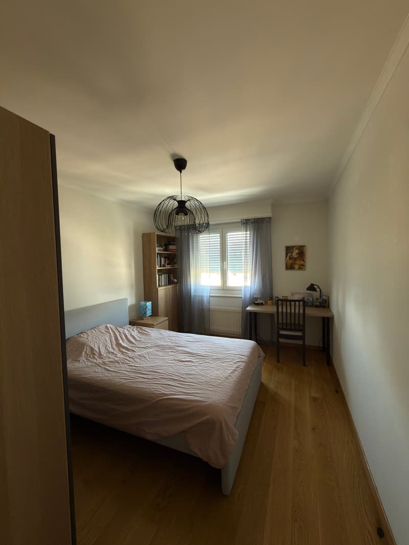 Appartement 2 pièces lumineux à Lausanne – Avenue de Morges (2)