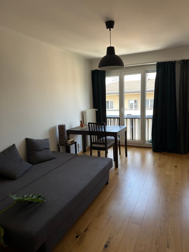 Appartement 2 pièces lumineux à Lausanne – Avenue de Morges (7)