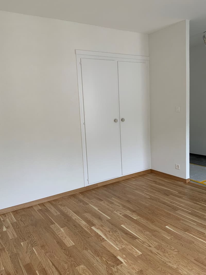 Studio entièrement rénové (3)