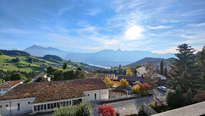 Moderne 2.5-Zimmerwohnung mit top Aussicht (1)