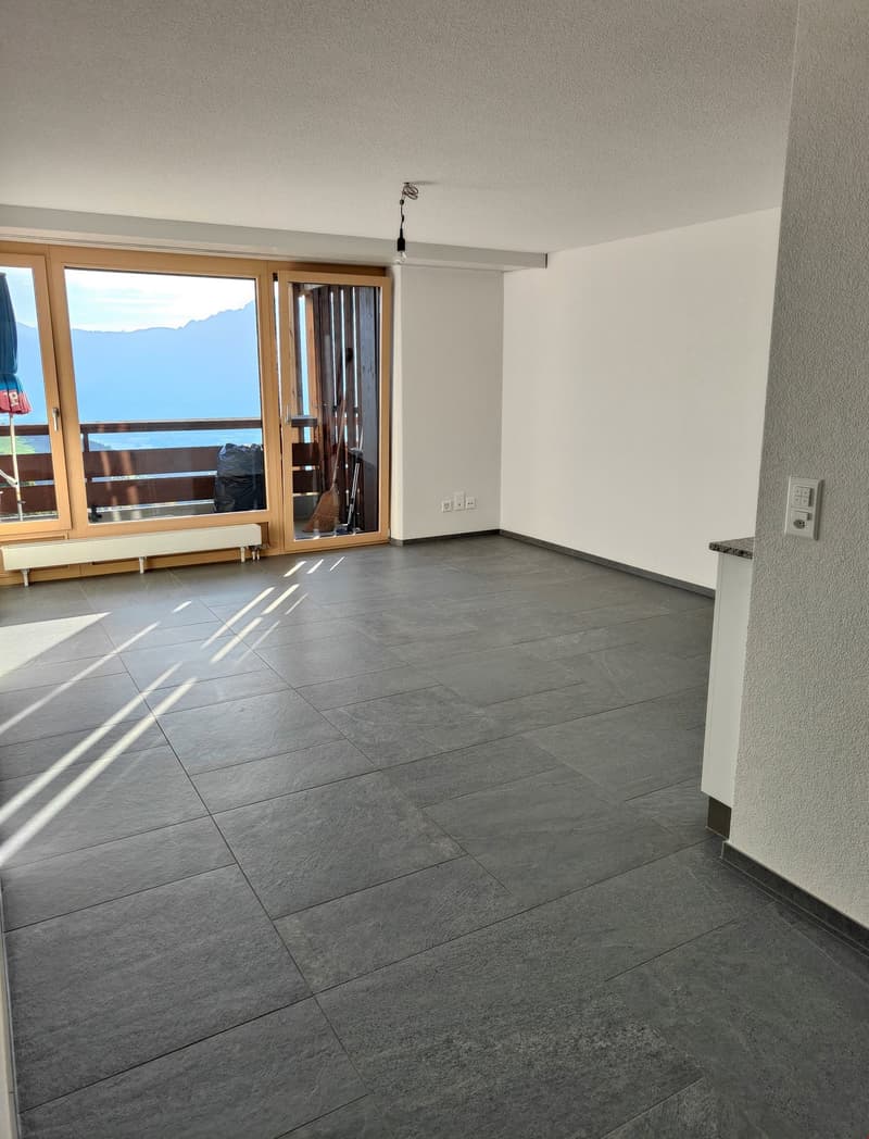 Moderne 2.5-Zimmerwohnung mit top Aussicht (6)