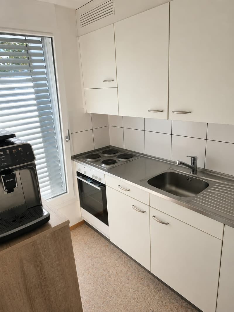Gemütliche 1-Zimmer-Wohnung mit Balkon in Thun (1)