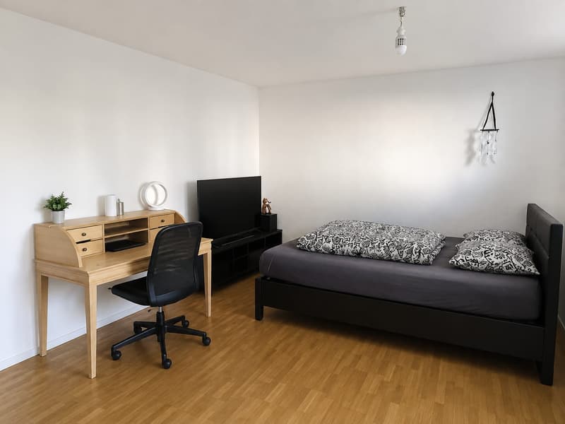 Gemütliche 1-Zimmer-Wohnung mit Balkon in Thun (2)