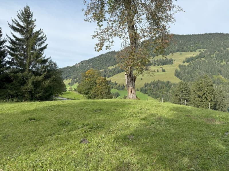 Bauland an attraktiver Lage in Zweisimmen (Rinderberg) (4)