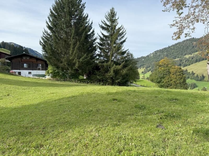 Bauland an attraktiver Lage in Zweisimmen (Rinderberg) (5)