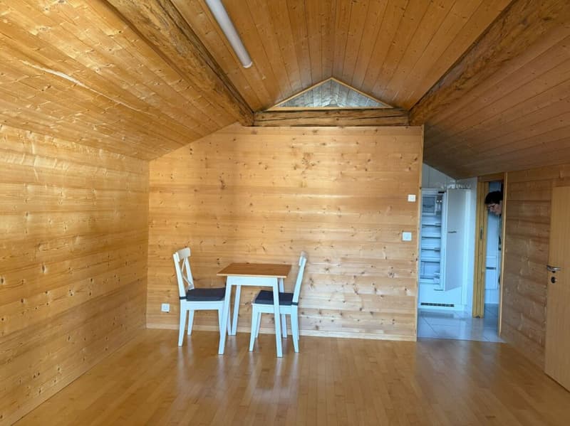 Maison d'habitation et de commerce dans un emplacement central (23)