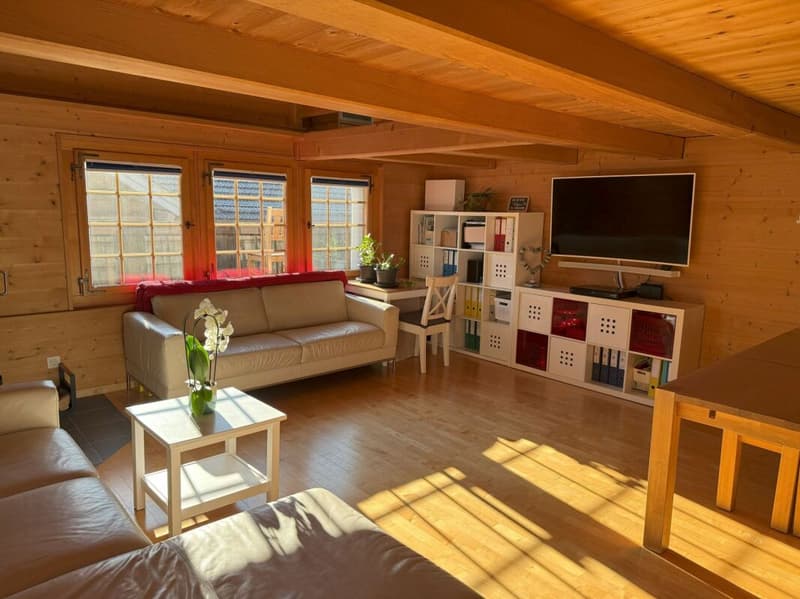 Maison d'habitation et de commerce dans un emplacement central (8)