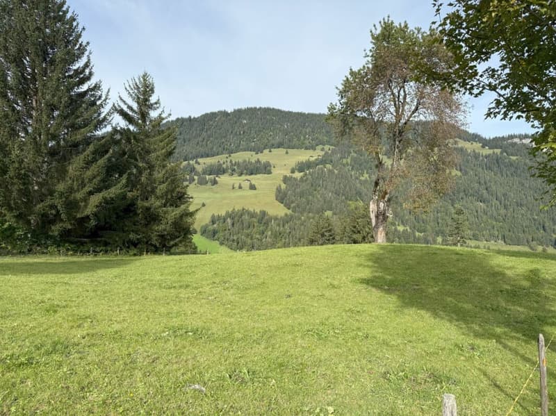 Bauland an sonniger und aussichtsreicher Lage in Zweisimmen (Rinderberg) (1)
