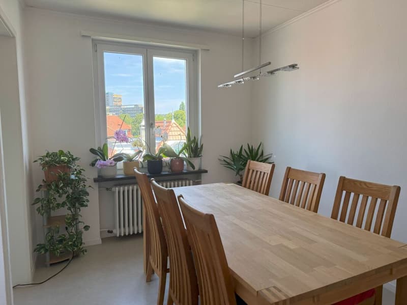 wohnen in Bern in einem sehr schönen, sonnigen und ruhigen Quartier mit viel Grünanteilen (7)