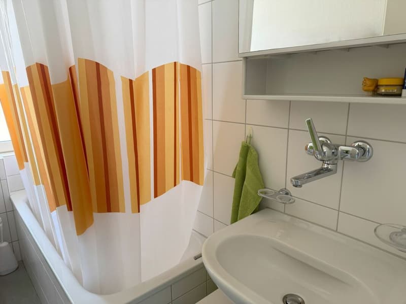 wohnen in Bern in einem sehr schönen, sonnigen und ruhigen Quartier mit viel Grünanteilen (15)