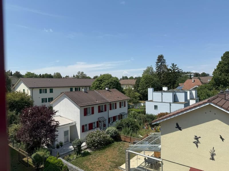 wohnen in Bern in einem sehr schönen, sonnigen und ruhigen Quartier mit viel Grünanteilen (11)
