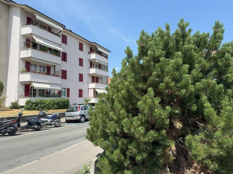 wohnen in Bern in einem sehr schönen, sonnigen und ruhigen Quartier mit viel Grünanteilen (1)