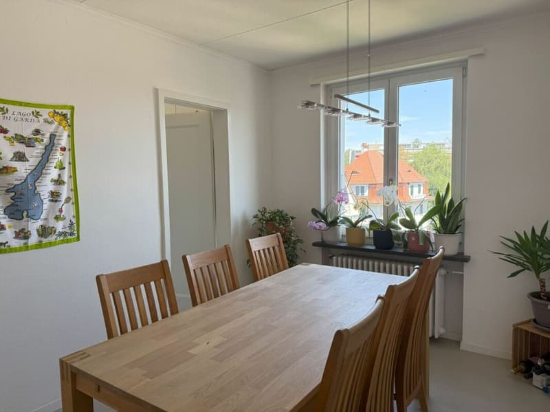 wohnen in Bern in einem sehr schönen, sonnigen und ruhigen Quartier mit viel Grünanteilen (6)