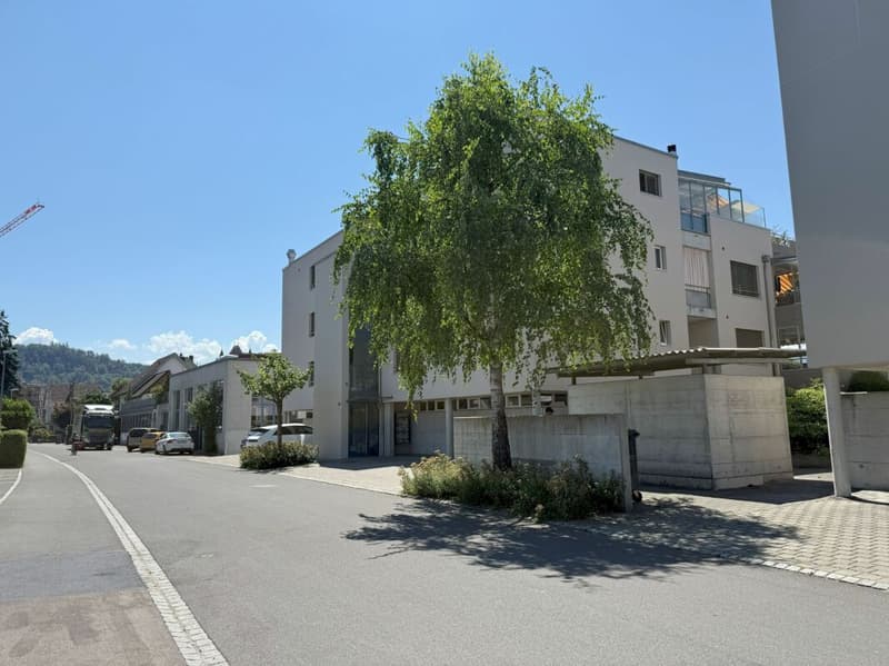 sonnig, aussichtsreich und nahe Zentrum der Stadt Thun (2)