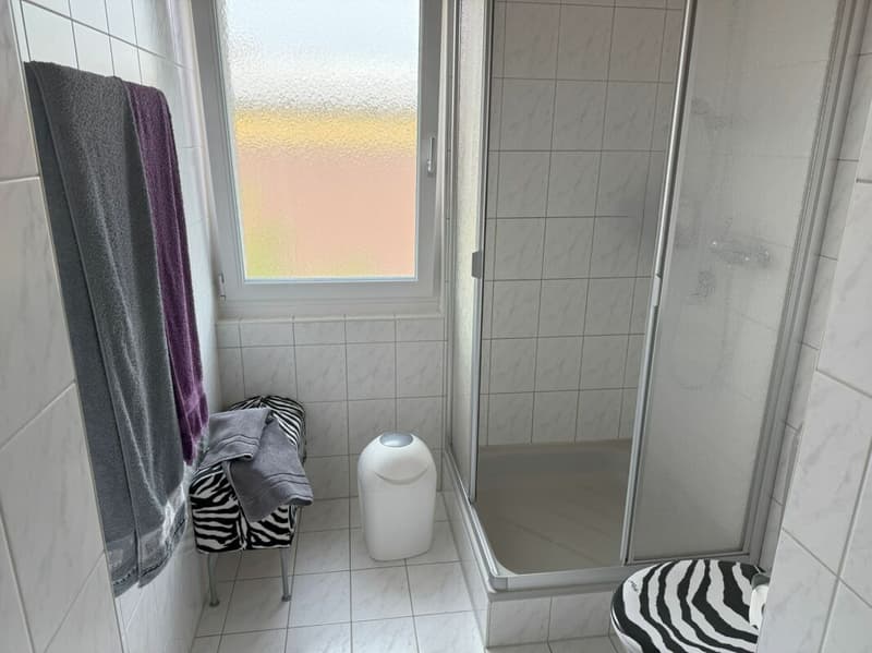 Attikawohnung mit viel Sonne und attraktiver Fernsicht (16)