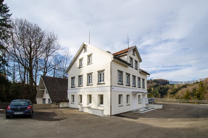 MFH_Lustmühle_Teufenerstrasse 831_01