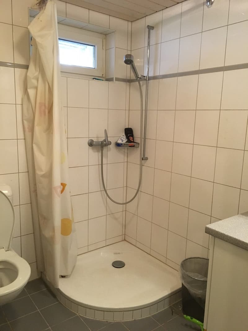 1.5 Zimmer Wohnung zu vermieten (3)