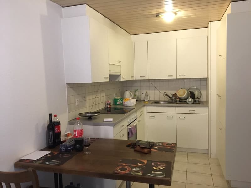 1.5 Zimmer Wohnung zu vermieten (4)