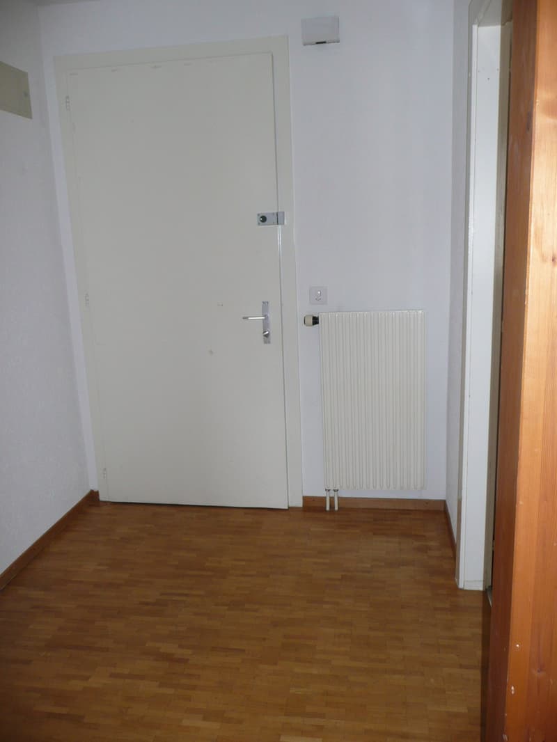 Grand appartement de 2,5 pièces avec balcon et vue panoramique (3)