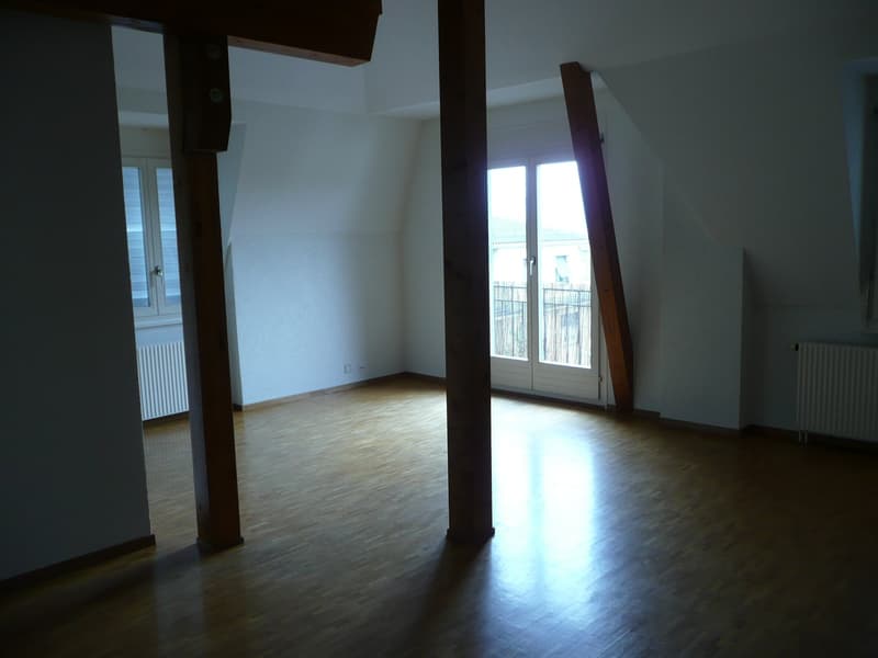 Grand appartement de 2,5 pièces avec balcon et vue panoramique (5)